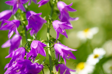 Similar image 2978440