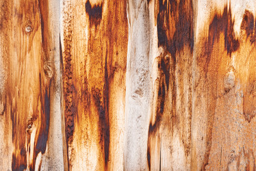 Similar image 2978447