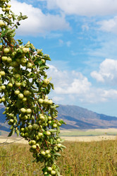 Similar image 2978450