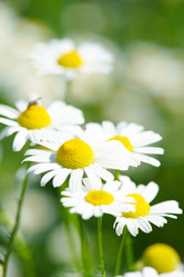 Similar image 2978451