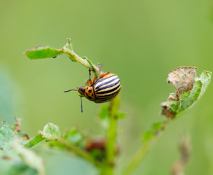 Similar image 2978454