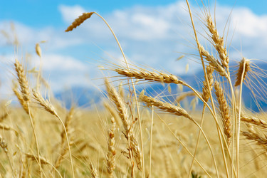 Similar image 2978458