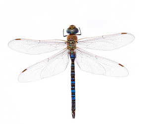 Similar image 2978459