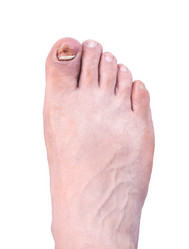 Similar image 2978461