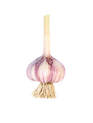 Similar image 2978462