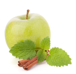 Similar image 2978470