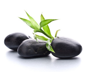 Similar image 2978485