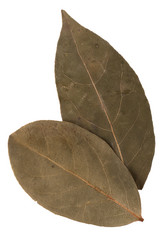 Similar image 2978507