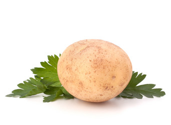 Similar image 2978524