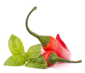 Similar image 2978538