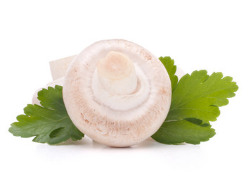 Similar image 2978543