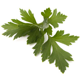 Similar image 2978549