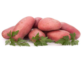 Similar image 2978560