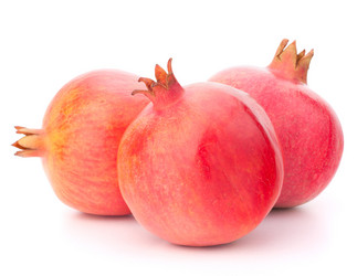 Similar image 2978580