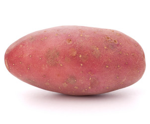 Similar image 2978611