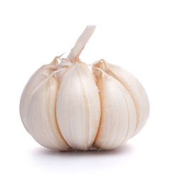 Similar image 2978616