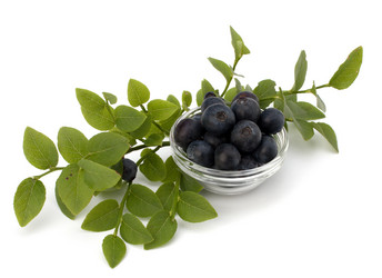 Similar image 2978628