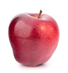 Similar image 2978647