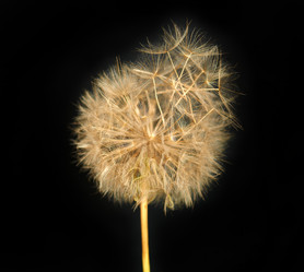 Similar image 2978670