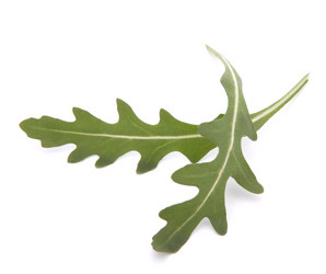 Similar image 2978701