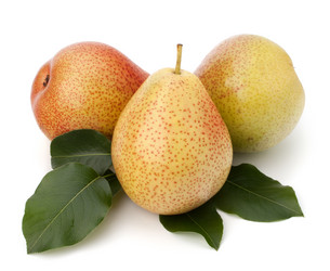 Similar image 2978713