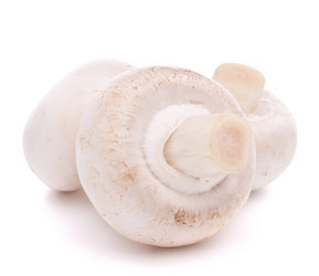 Similar image 2978737