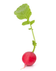 Similar image 2978741