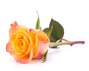 Similar image 2978753