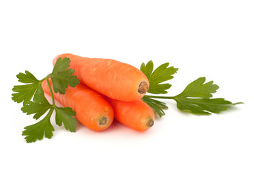 Similar image 2978772