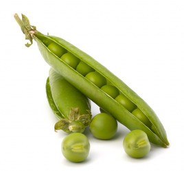 Similar image 2978783