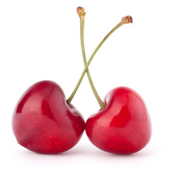 Similar image 2978814