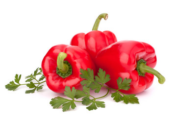 Similar image 2978856