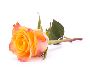 Similar image 2978875