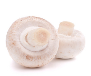 Similar image 2978888