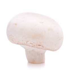 Similar image 2978890