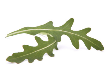 Similar image 2978891