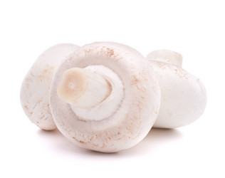 Similar image 2978900