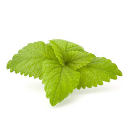 Similar image 2978903