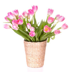 Similar image 2978909