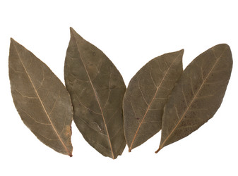 Similar image 2978911