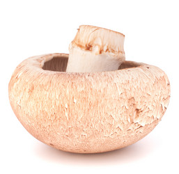 Similar image 2978930