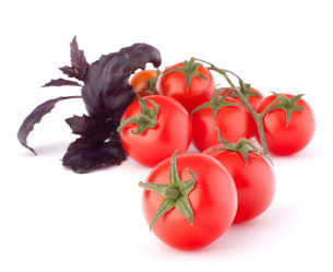 Similar image 2978932