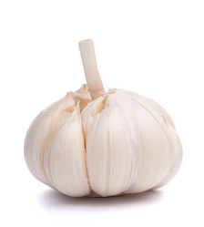 Similar image 2978961