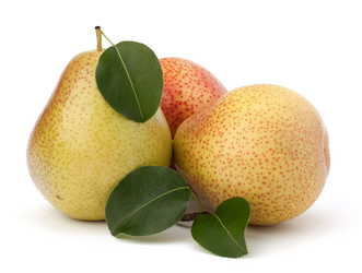 Similar image 2978989