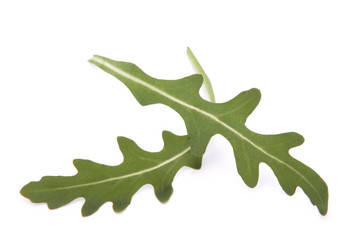 Similar image 2978999