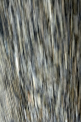 Similar image 2979009