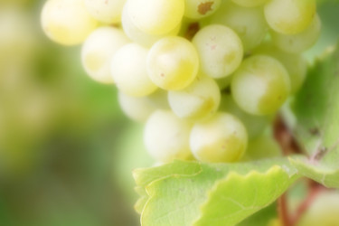 Similar image 2979040