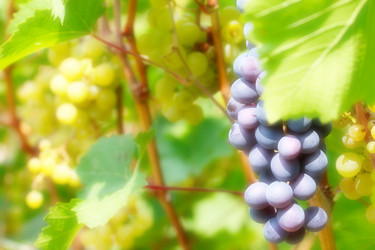 Similar image 2979043