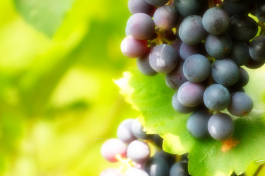 Similar image 2979046