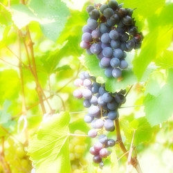 Similar image 2979047